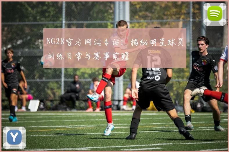 NG28官方网站专访：揭秘明星球员训练日常与赛事前瞻