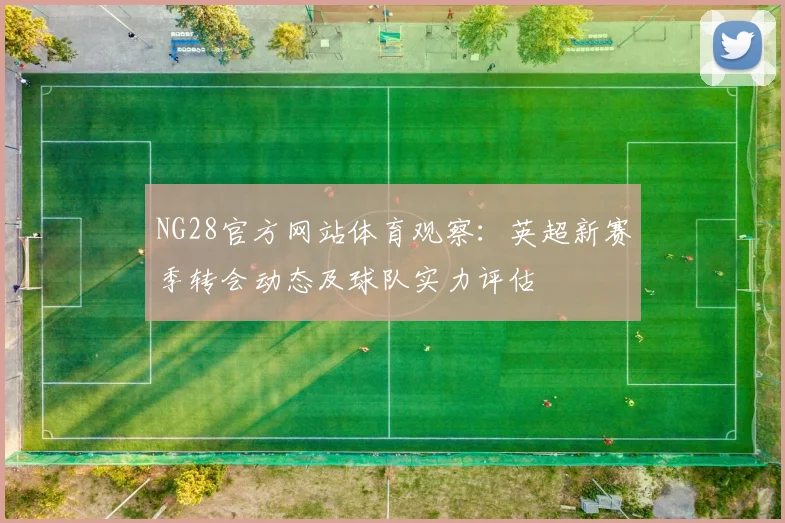 NG28官方网站体育观察：英超新赛季转会动态及球队实力评估