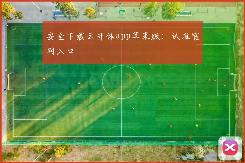 安全下载云开体app苹果版:认准官网入口